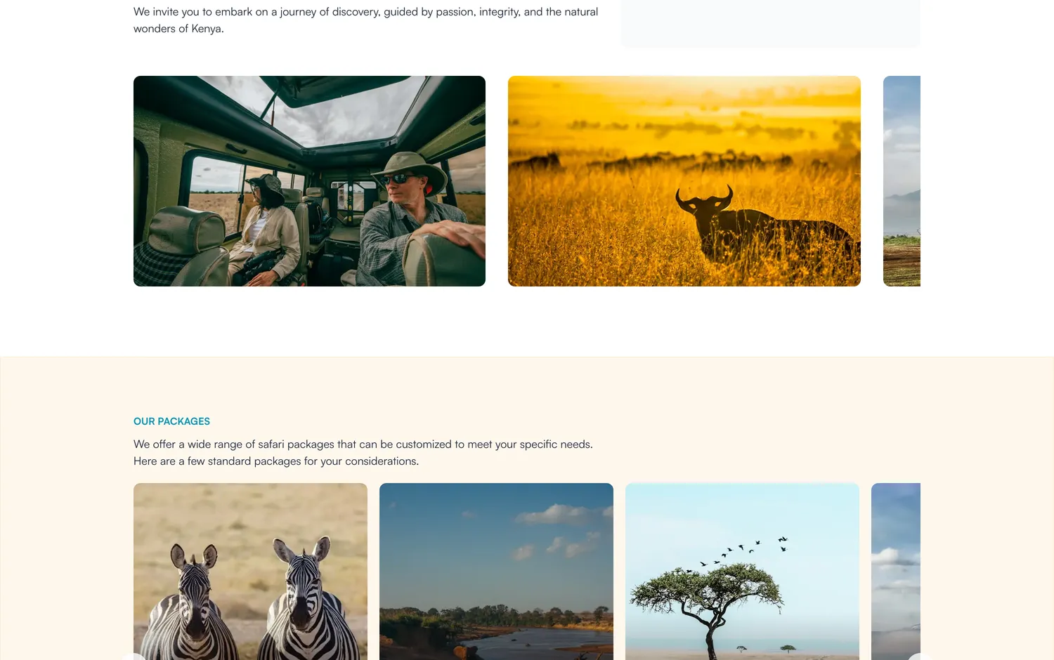 Safari packages