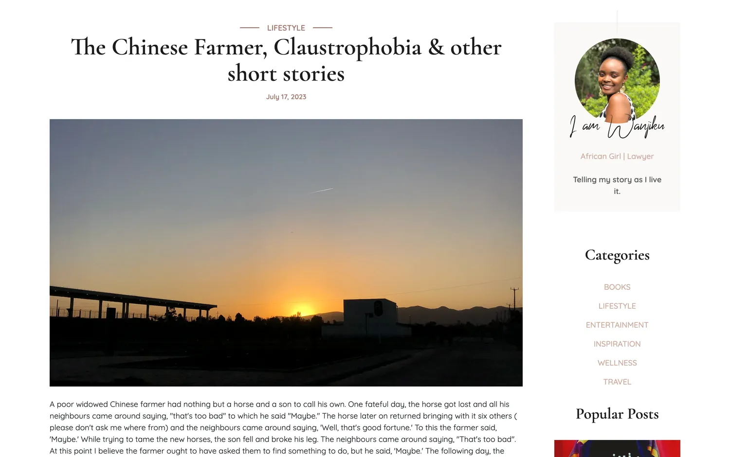 The Chinese Farmer, Claustrophobia & other short stories